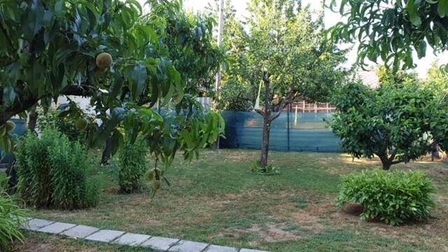 Ilona Apartmanok Balatonboglar Exterior photo