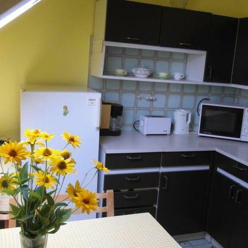 Ilona Apartmanok Balatonboglar Exterior photo